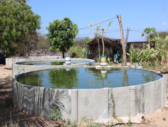 Dia de Campo sobre Sisteminha Comunidades será realizado em Anajatuba