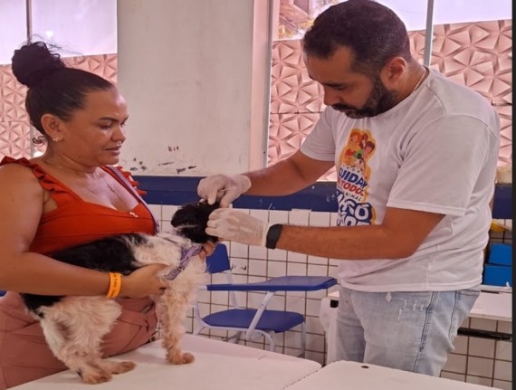 Programa Cuidar de Todos – Saúde Animal realiza 687 atendimentos em São Bento