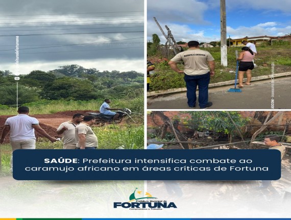 Prefeitura de Fortuna realiza ação de controle e prevenção contra caramujo africano 