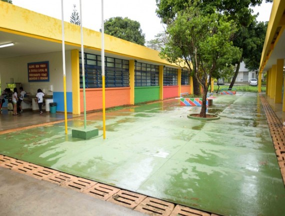 Política de educação ambiental para estudantes do ensino infantil ao médio é instituída