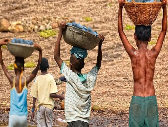 Municípios têm até 9 de dezembro para adesão ao Programa Nacional de Erradicação do Trabalho Infantil
