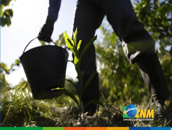 Garantia-Safra: agricultores familiares receberão o recurso do garantia safra em abril