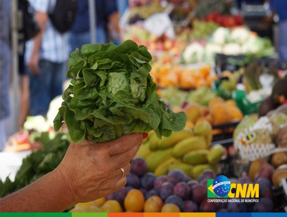 Portaria habilita Municípios para recebimento de incentivo financeiro voltado à alimentação e nutrição na APS