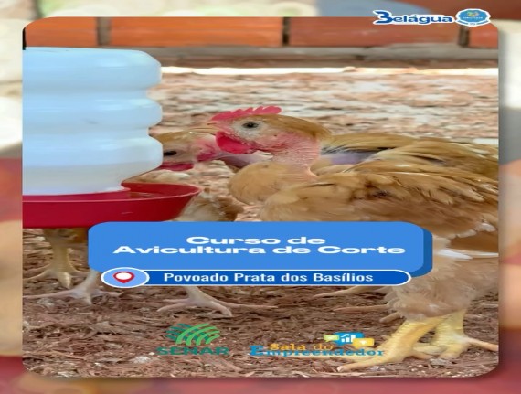 Parceria entre Belágua e SENAR leva capacitação em avicultura à zona rural