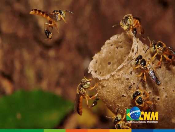 Municípios devem ficar atentos aos impactos da nova resolução do Conama