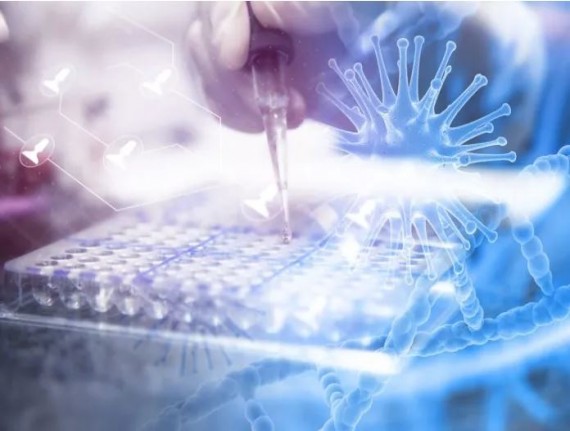 Imperatriz conquista o Selo Prata de Boas Práticas na Eliminação da Transmissão Vertical do HIV