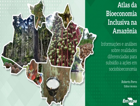 Atlas da Bioeconomia apresenta dados de 107 microrregiões da Amazônia Legal
