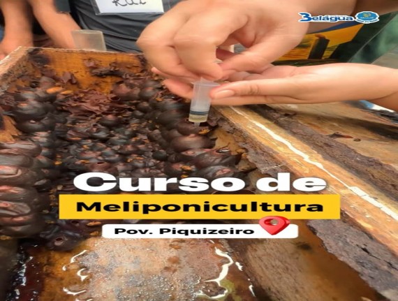 Belágua oferece capacitação em Meliponicultura em parceria com o SENAR