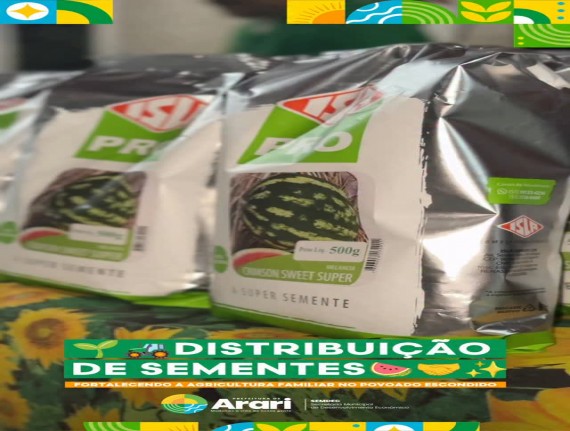 Agricultores de Arari recebem sementes de melancia e ampliam produção no campo