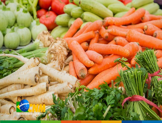 Confederação orienta Municípios acerca da definição dos Equipamentos de Segurança Alimentar e Nutricional