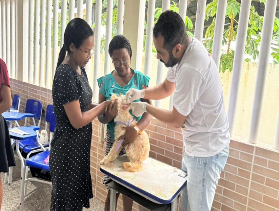 Programa Cuidar de Todos - Saúde Animal beneficia cães e gatos em São João Batista