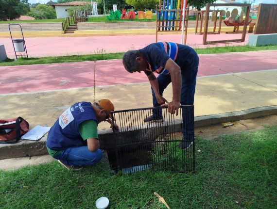 PEDREIRAS EM ALERTA: UMA GUERRA CONTRA O INIMIGO SILENCIOSO