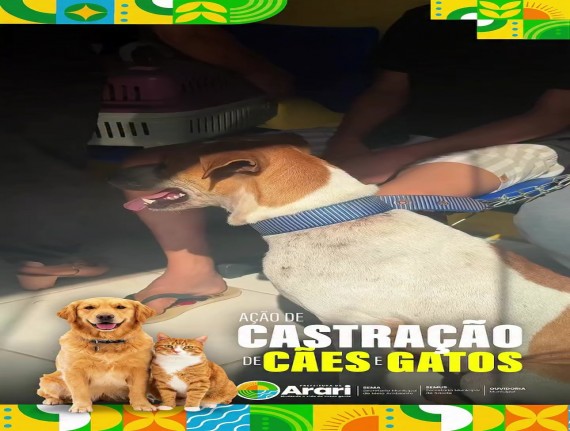 Castração de cães e gatos reforça cuidado com a saúde animal em Arari